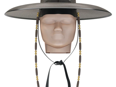 Korean Gat Hat 3D Model
