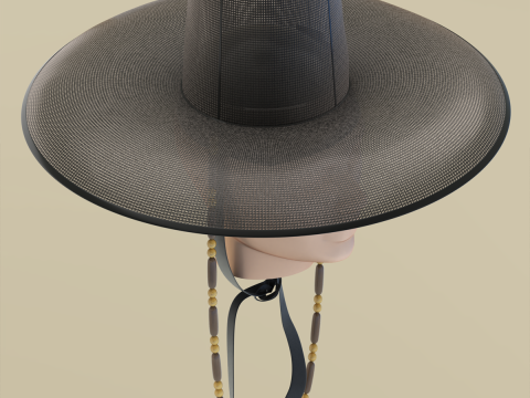 Chap&eacute;u Gat Coreano Modelo 3D