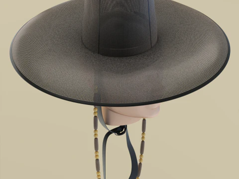Korean Gat Hat 3D Model