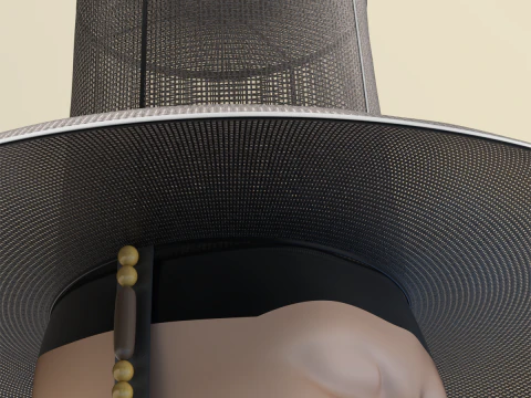 Korean Gat Hat 3D Model