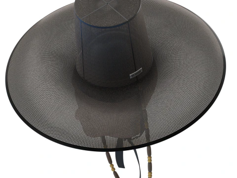 Korean Gat Hat 3D Model