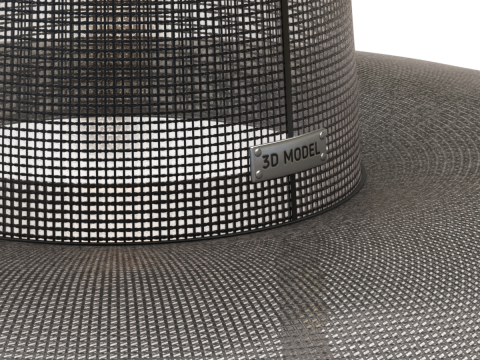 Chap&eacute;u Gat Coreano Modelo 3D