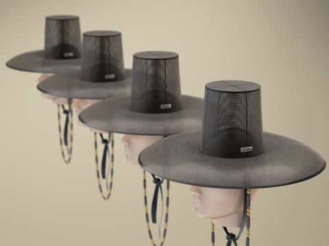 Chap&eacute;u Gat Coreano Modelo 3D