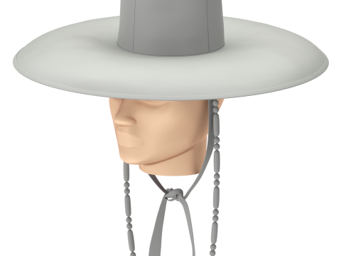 Chap&eacute;u Gat Coreano Modelo 3D