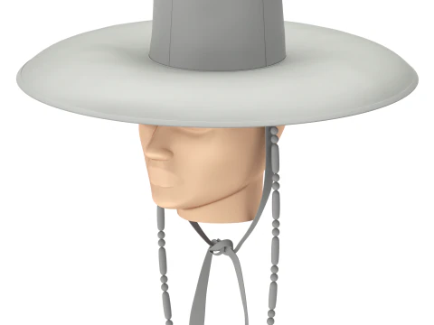 Korean Gat Hat 3D Model