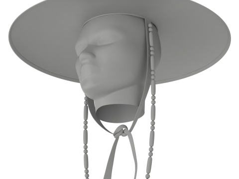 Chap&eacute;u Gat Coreano Modelo 3D