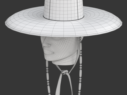 Chap&eacute;u Gat Coreano Modelo 3D