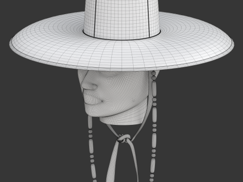Chap&eacute;u Gat Coreano Modelo 3D