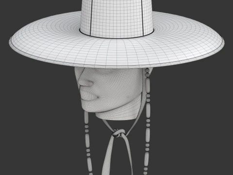 Korean Gat Hat 3D Model