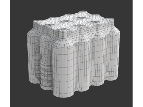 Water bottles wrapped in the shrink film 3D Model