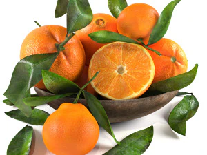 Bowl of oranges 3D Model
