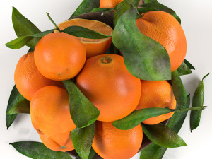 Bowl of oranges Modelo 3D