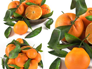 Tigela de laranjas Modelo 3D