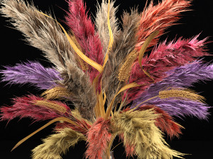 Vase of color pampas grass and Wheat Model 3D