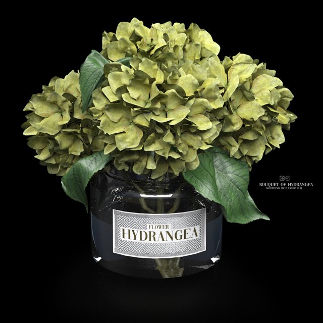 Bouquet of hydrangea 3D मॉडल .c4d .max .obj .3ds .fbx .stl .blend 