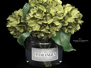 Bouquet of hydrangea Modelo 3D