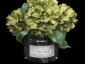 Bouquet of hydrangea 3D मॉडल
