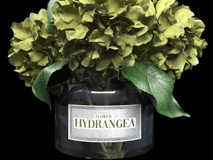 Bouquet of hydrangea 3D मॉडल
