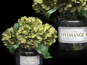 Bouquet of hydrangea 3D मॉडल
