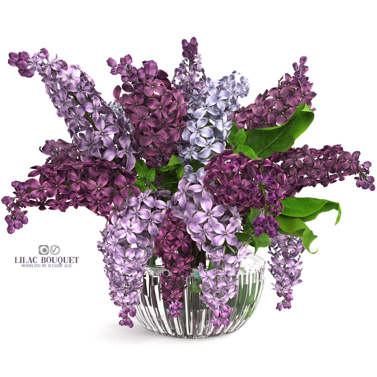 Lilac bouquet 3D Model .c4d .max .obj .3ds .fbx .stl .blend 