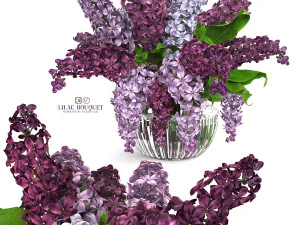 Lilac bouquet 3D Model