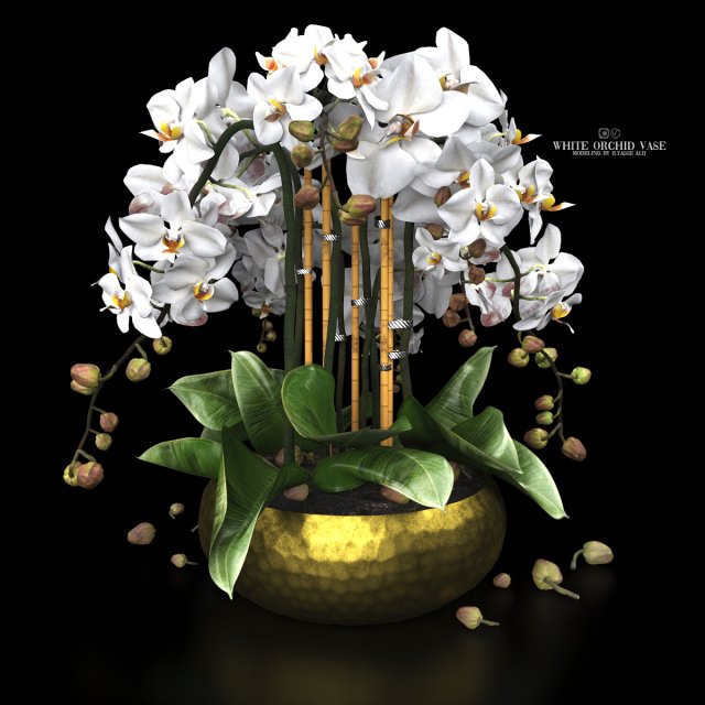 White orchid vase Modelo 3D .c4d .max .obj .3ds .fbx .stl .blend 