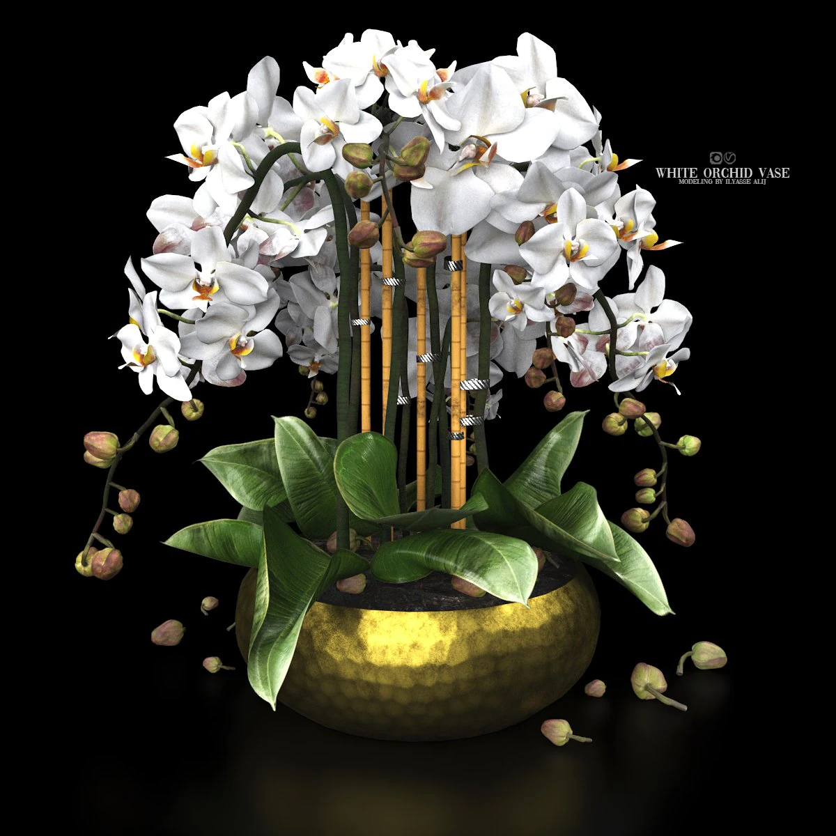 White orchid vase 3D Model .c4d .max .obj .3ds .fbx .stl .blend 