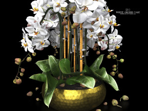White orchid vase 3D-Modell