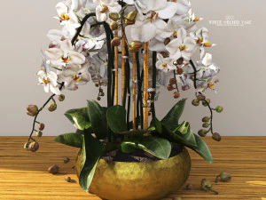 White orchid vase 3D Model
