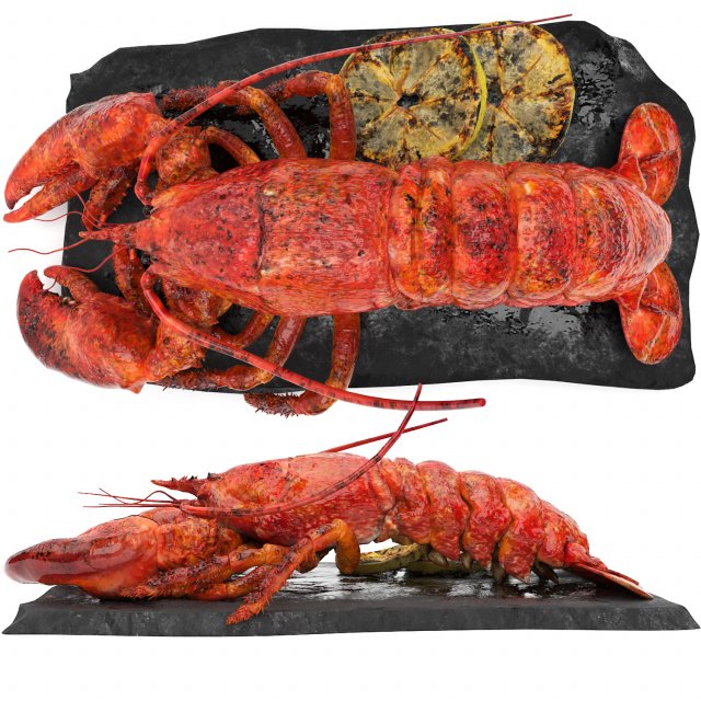 Lobster set 3D Model .c4d .max .obj .3ds .fbx .stl .blend 