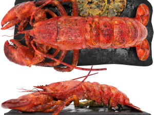 Lobster set Modelo 3D