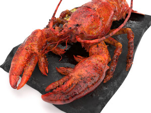Lobster set 3D Model