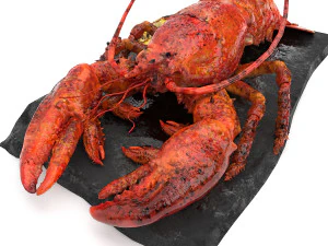 Insieme dell'aragosta Modello 3D