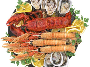Seafood platter of langoustine lobster and oyster 3D Model