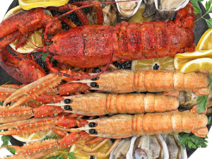 Seafood platter of langoustine lobster and oyster Model 3D