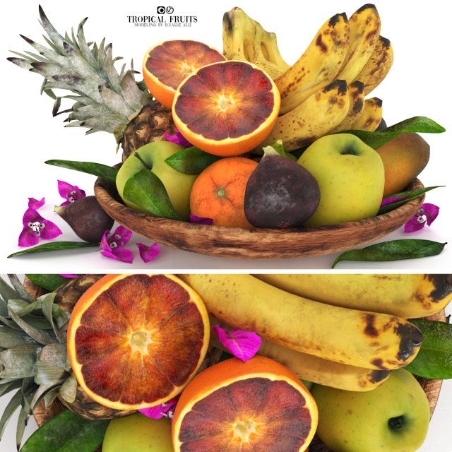 TROPICAL FRUITS 3D 模型 .c4d .max .obj .3ds .fbx .stl .blend 