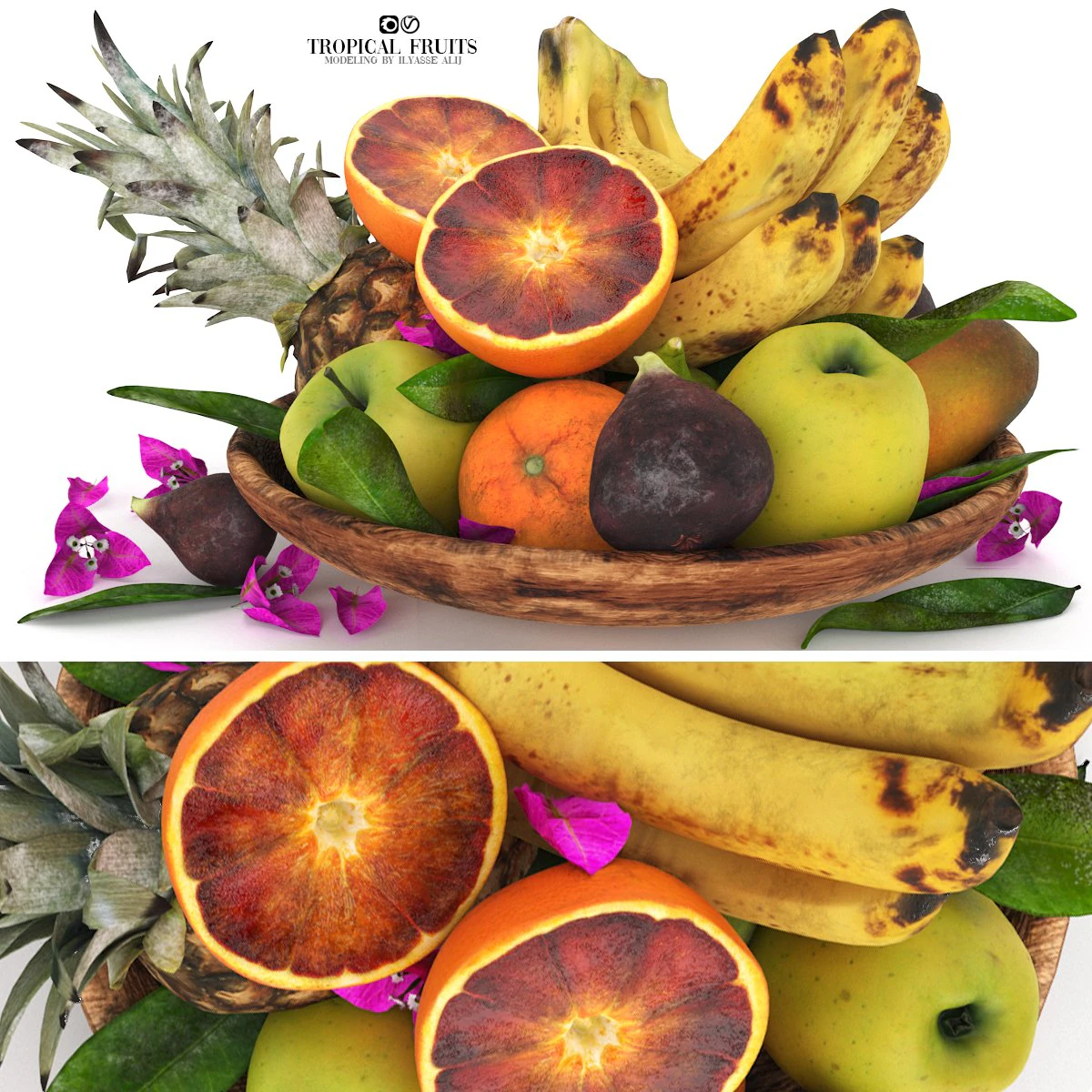 TROPICAL FRUITS 3D Model .c4d .max .obj .3ds .fbx .stl .blend