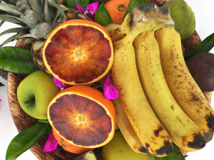 TROPICAL FRUITS 3D 模型