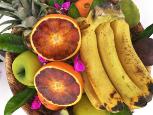 TROPICAL FRUITS 3D Model