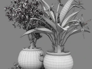 Bird of paradise flower and bougainvillea tree 3D Model