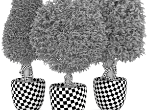 Collection of plants 001 Boxwood trees 3D मॉडल