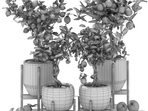 Collection of plants 002 lemons and oranges trees 3D Model