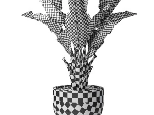 Tropical indoor plant tree 3D Model
