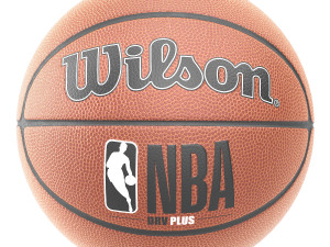 Wilson and spalding basketball Modelo 3D