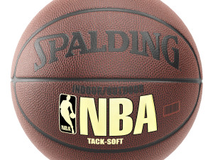 Wilson and spalding basketball Modelo 3D
