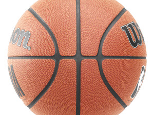 Wilson and spalding basketball Modelo 3D