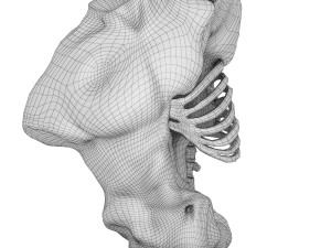 Body male statue Modèle 3D