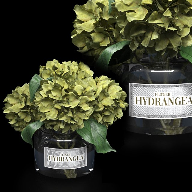 Bouquet of hydrangea Model 3D .c4d .max .obj .3ds .fbx .stl .blend 