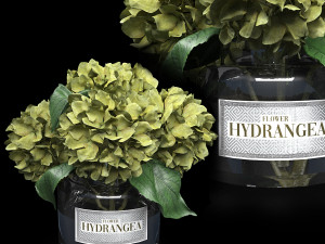 Bouquet of hydrangea 3D Model