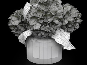 Bouquet of hydrangea Model 3D